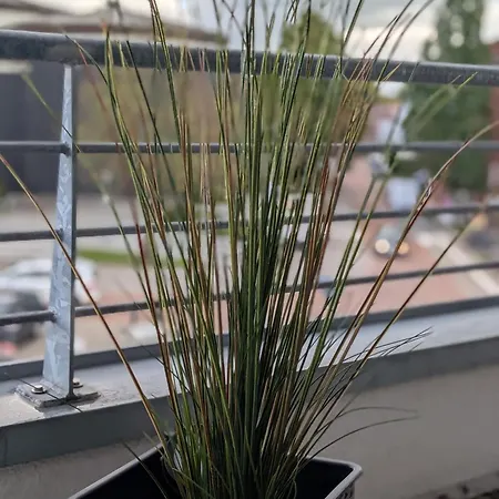 Apartment Schoene Im Herzen Von *