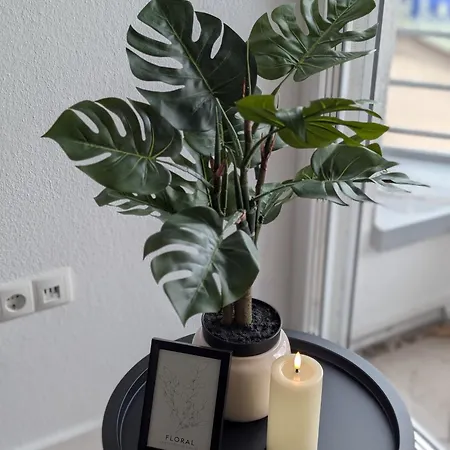 Schoene Im Herzen Von *
